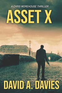 Cover image for Asset X