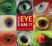 Cover image for Whose Eye Am I?