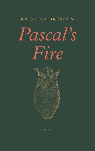 Cover image for Pascal's Fire