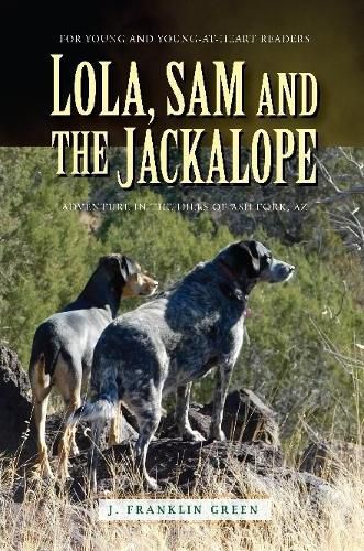 Cover image for Lola, Sam and the Jackalope