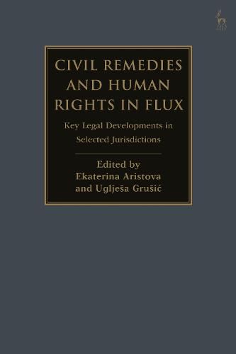 Cover image for Civil Remedies and Human Rights in Flux: Key Legal Developments in Selected Jurisdictions