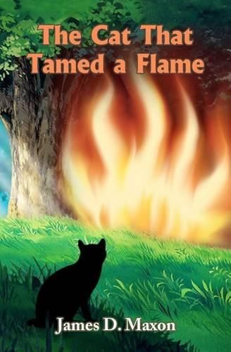 Cover image for The Cat That Tamed a Flame