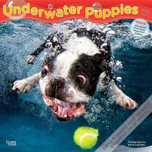 Cover image for Underwater Puppies 2022 Square
