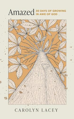 Cover image for Amazed