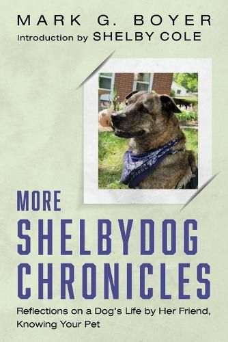 More Shelbydog Chronicles