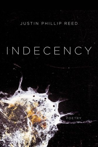 Cover image for Indecency