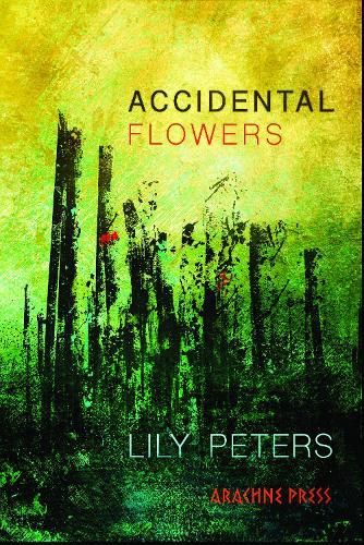 Cover image for Accidental Flowers