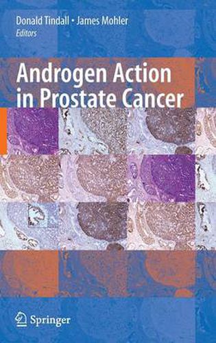 Cover image for Androgen Action in Prostate Cancer