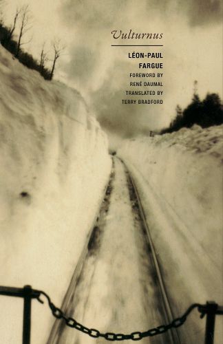 Cover image for Vulturnus