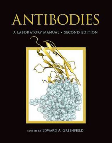 Cover image for Antibodies a Laboratory Manual, Second Edition