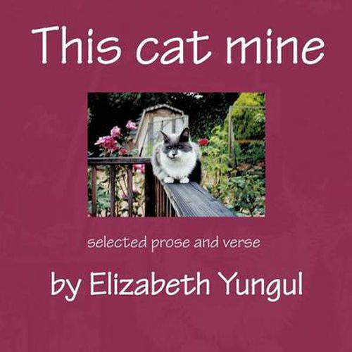 Cover image for This Cat Mine