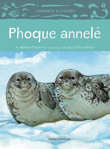 Cover image for Phoque Annele