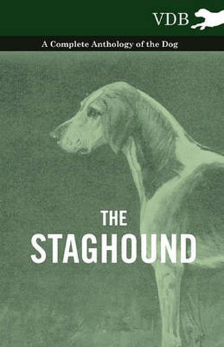 Cover image for The Staghound - A Complete Anthology of the Dog