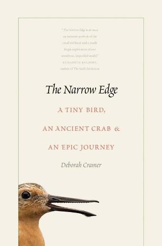Cover image for The Narrow Edge: A Tiny Bird, an Ancient Crab, and an Epic Journey