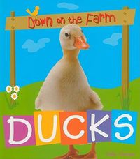 Cover image for Ducks