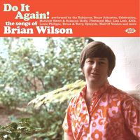 Cover image for Do It Again! The Songs Of Brian Wilson