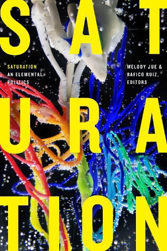 Cover image for Saturation: An Elemental Politics