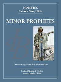 Cover image for The Minor Prophets