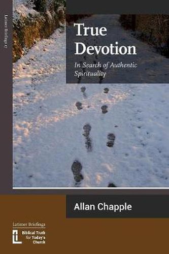 Cover image for True Devotion: In Search of Authentic Spirituality