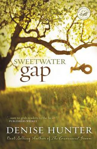 Cover image for Sweetwater Gap