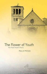 Cover image for The Flower of Youth