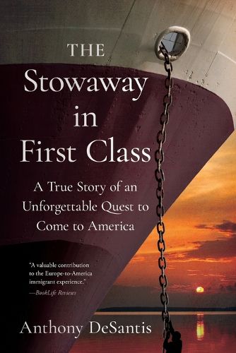 Cover image for The Stowaway in First Class