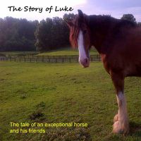 Cover image for The Story of Luke