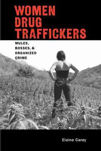 Cover image for Women Drug Traffickers: Mules, Bosses, and Organised Crime