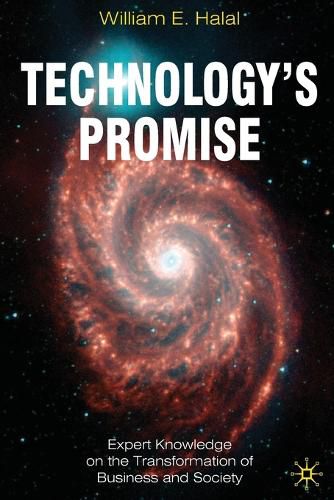 Cover image for Technology's Promise: Expert Knowledge on the Transformation of Business and Society