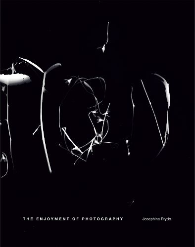 Cover image for Josephine Pryde: The Enjoyment of Photography