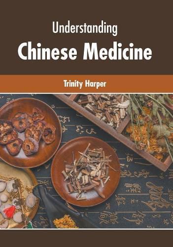 Cover image for Understanding Chinese Medicine