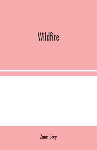 Cover image for Wildfire