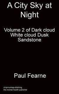 Cover image for A City Sky at Night: - Volume 2 of Dark cloud White cloud Dusk
