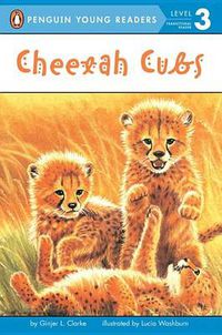 Cover image for Cheetah Cubs
