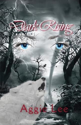 Cover image for Dark Rising