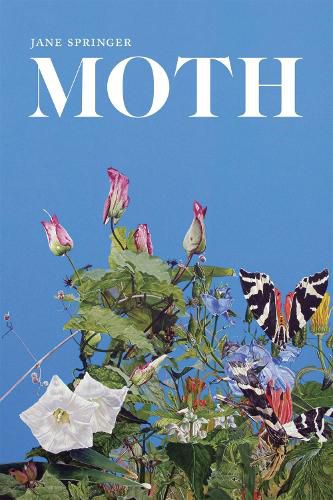 Cover image for Moth: Poems