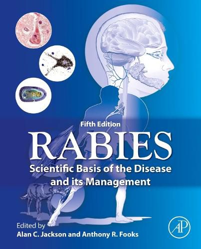 Cover image for Rabies