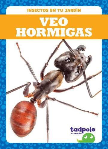 Veo Hormigas