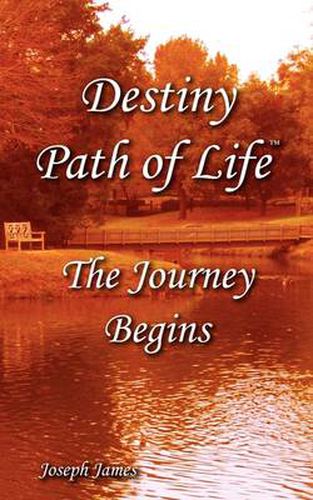 Cover image for Destiny Path of Life - The Journey Begins