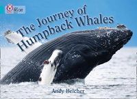 Cover image for The Journey of Humpback Whales: Band 07/Turquoise