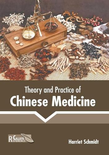 Cover image for Theory and Practice of Chinese Medicine