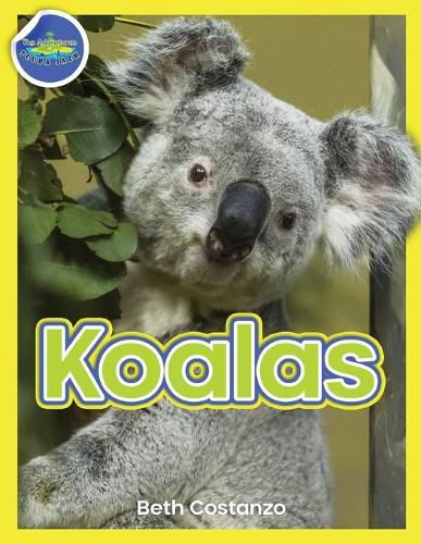 Cover image for Koala Activity Workbook ages 4-8