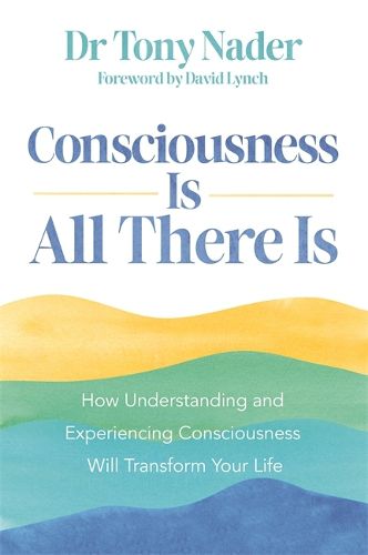 Cover image for Consciousness Is All There Is
