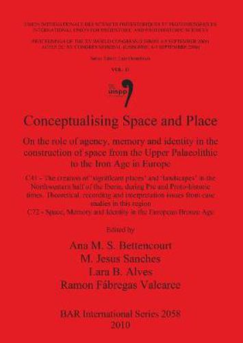 Cover image for Conceptualising Space and Place