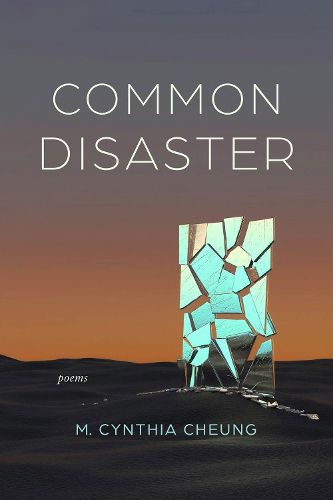 Cover image for Common Disaster
