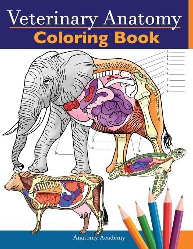 Cover image for Veterinary Anatomy Coloring Book: Animals Physiology Self-Quiz Color Workbook for Studying and Relaxation Perfect gift For Vet Students and even Adults