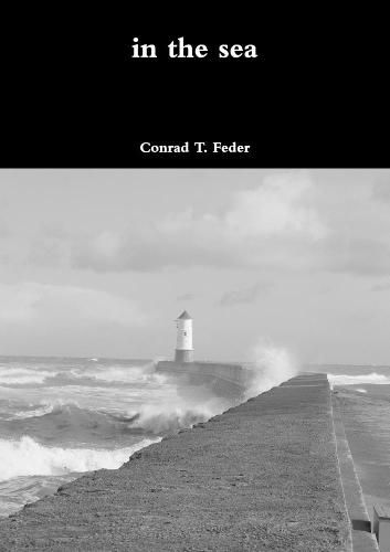 Cover image for in the sea