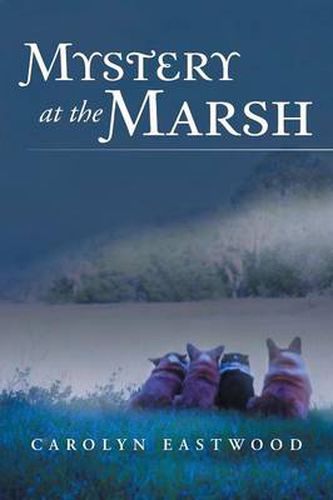 Cover image for Mystery at the Marsh