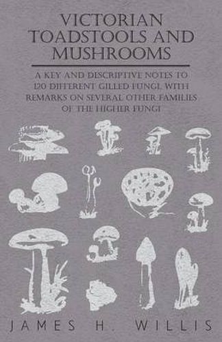 Cover image for Victorian Toadstools and Mushrooms - A Key and Descriptive Notes to 120 Different Gilled Fungi, With Remarks on Several Other Families of the Higher Fungi