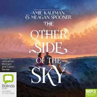 Cover image for The Other Side of the Sky